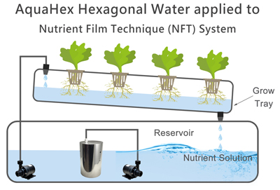 AquaHex hexagonal water applied to hydroponic and areo hydroponic