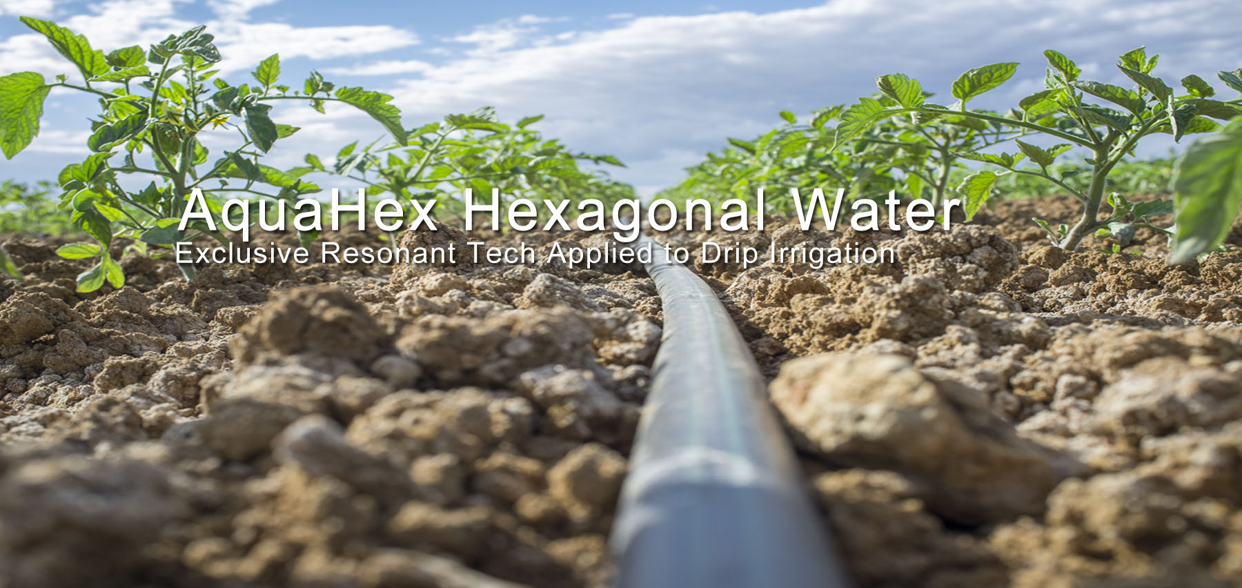 AquaHex hexagonal water for drip irrigation