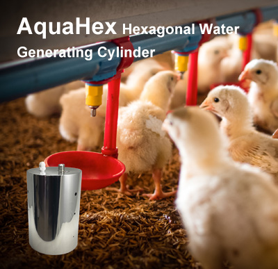 AquaHex hexagonal water for poultry